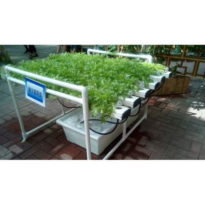 Neue Ankunft Hydroponik NFT Gewächshaus System mit PVC-Rohr wachsenden Kits Innen- und Garten