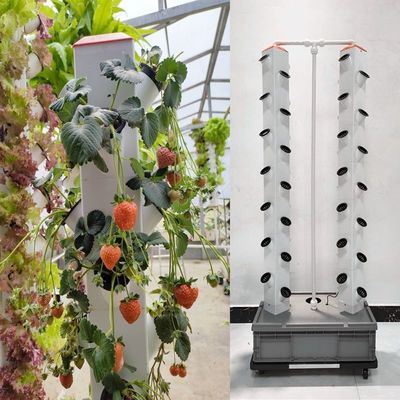 Perfekte vertikale Säule hydroponisches Aeroponisches Pflanzsystem Aeroponischer Wachstumsturm