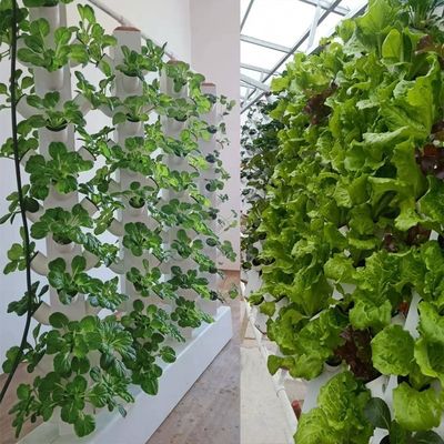 Perfekte vertikale Säule hydroponisches Aeroponisches Pflanzsystem Aeroponischer Wachstumsturm