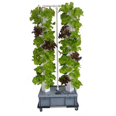 Perfekte vertikale Säule hydroponisches Aeroponisches Pflanzsystem Aeroponischer Wachstumsturm