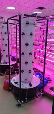 Hydroponisches System Aeroponischer TurmGarden rotierende Hydroponik für Blattgemüse