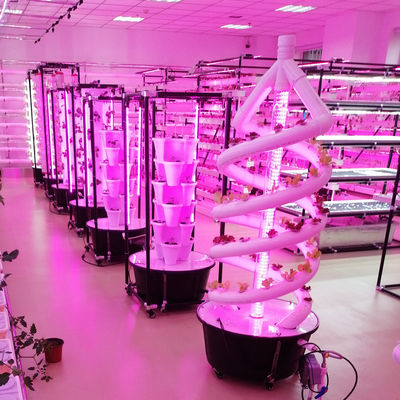 Pflanzen Doppelhelix Hydroponische rotierende Landwirtschaft Spirale NFT Hydroponische System