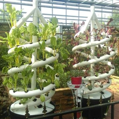 Spiral-Hydroponik-Landwirtschaft vertikale Hydroponik-System
