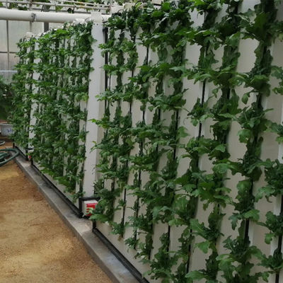 Nft Erdbeeren und Blumen vertikaler Anbausystem Zipgrow Tower