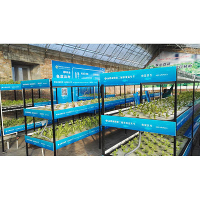 Aquaponik Gewächshaus Hydroponik Anbausystem Fischbehälter für Fisch und Gemüse