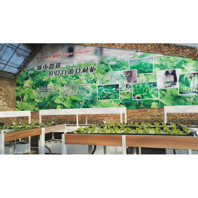 Aquaponik Gewächshaus Hydroponik Anbausystem Fischbehälter für Fisch und Gemüse