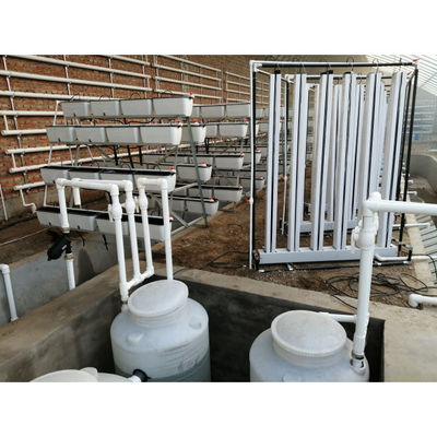 Aquaponik Gewächshaus Hydroponik Anbausystem Fischbehälter für Fisch und Gemüse