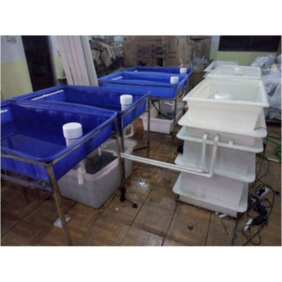 Aquaponik Gewächshaus Hydroponik Anbausystem Fischbehälter für Fisch und Gemüse