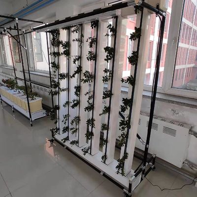 Nft Erdbeeren und Blumen vertikaler Anbausystem Zipgrow Tower