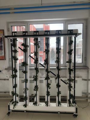 Nft Erdbeeren und Blumen vertikaler Anbausystem Zipgrow Tower
