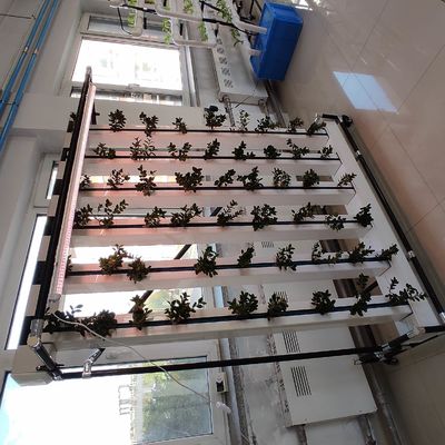 Nft Erdbeeren und Blumen vertikaler Anbausystem Zipgrow Tower